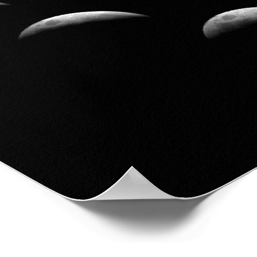 Lunar Moon Phases Poster (Hoek)