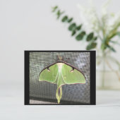 Lunar Moth Briefkaart (Staand voorkant)