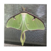 Lunar Moth Tegeltje (Voorkant)