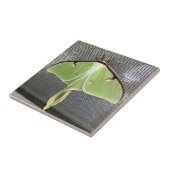 Lunar Moth Tegeltje (Zijkant)