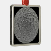 Lunar mozaïek van het zuidpoolgebied van de m metalen ornament (Rechts)