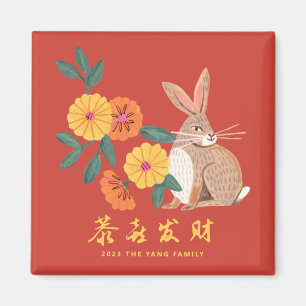 Lunar new year of the rabbit vakantion magnet