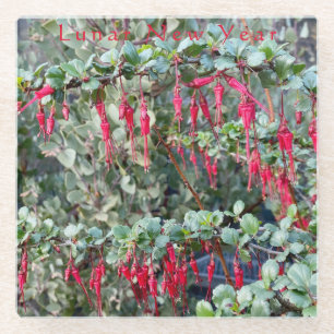 Lunar Nieuwjaar - Ribes Speciosum $12.95 elk 15% o Glazen Onderzetter