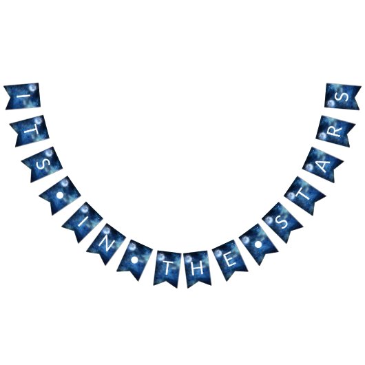 Lunar Sky Volle Maan Het Staat in de Sterren Trouw Vlaggetjes (Alle)