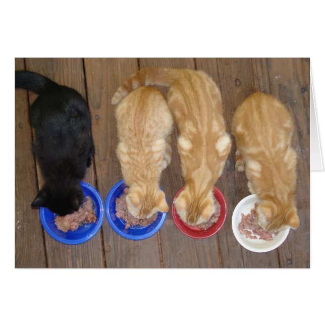 LUNCH! (Voorkant Horizontaal)