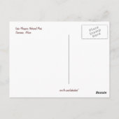 Lunch bij de Acacia-boom - Briefkaart (Achterkant)
