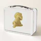 Lunch Box - Leeuwenpop (Achterkant)