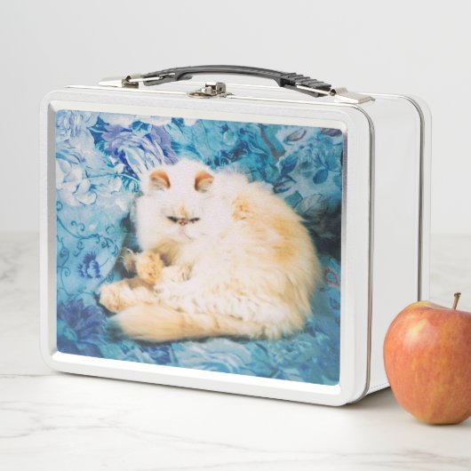 Lunch Box met Perzisch Kat Foto (In situ)