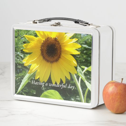 Lunch Box voor meisjes (In situ)