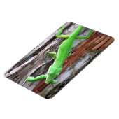 Lunch Iemand? Green Anole (Lizard) Magnet Magneet (Linkerzijde)