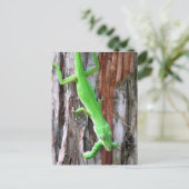 Lunch Iemand?  Groene anole (hagedis) Briefkaart (Staand voorkant)