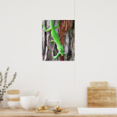 Lunch Iemand? Poster van groene anjullie (hazard) (Keuken)