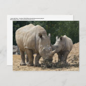 Lunch met Briefkaart (Voorkant / Achterkant)