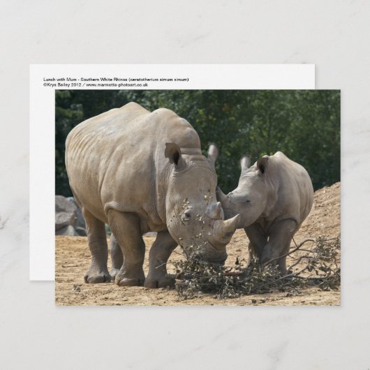 Lunch met Briefkaart (Voorkant / Achterkant)