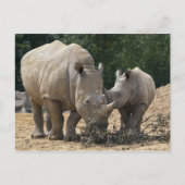 Lunch met Briefkaart (Voorkant)