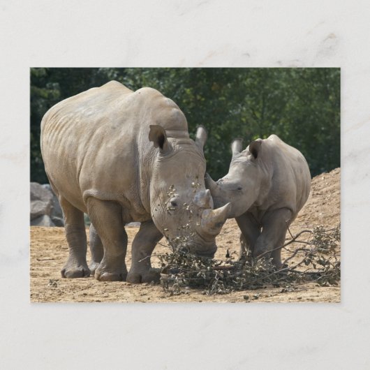 Lunch met Briefkaart (Voorkant)