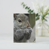 Lunch time briefkaart (Staand voorkant)