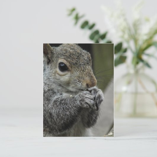 Lunch time briefkaart (Staand voorkant)