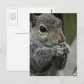 Lunch time briefkaart (Voorkant / Achterkant)