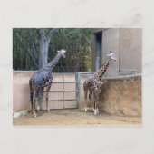 Lunch Time Briefkaart (Voorkant)