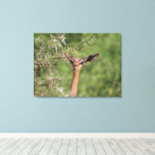 Lunch Time Canvas Afdruk (Insitu (Houten vloer))