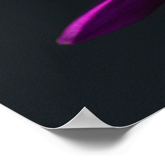 Lunch time poster (Hoek)