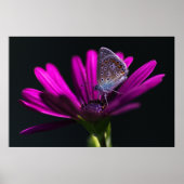 Lunch time poster (Voorkant)