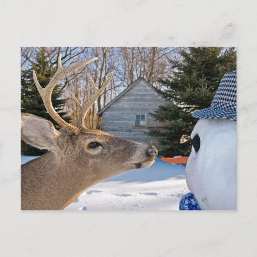 Lunch uitnodigen uitnodiging briefkaart (Voorkant)