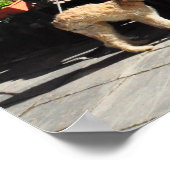 Lunch Vieux Quebec City Street Canada Poster (Hoek)