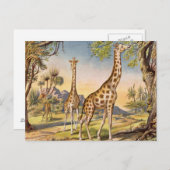 Lunch voor een Giraffe Briefkaart (Voorkant / Achterkant)