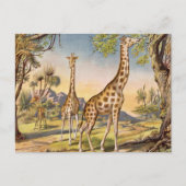 Lunch voor een Giraffe Briefkaart (Voorkant)