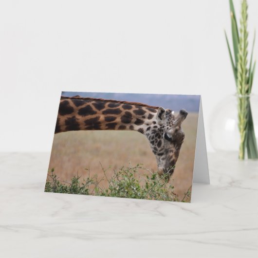 Lunch voor één kaart (Voorkant)