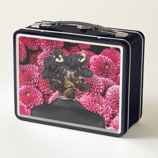 Lunchbox. (Achterkant)