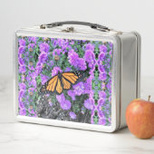 Lunchbox - Monarch & Paarse Asters (In situ)