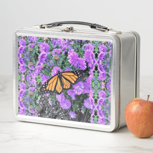 Lunchbox - Monarch & Paarse Asters (In situ)