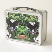 Lunchbox - oosterse zwarte zwaluwstaart (Achterkant)