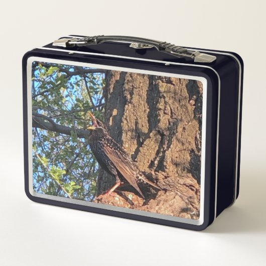 Lunchbox voor vogels (Achterkant)