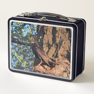 Lunchbox voor vogels