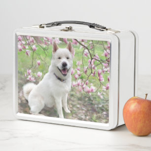 Lunchbox - Witte Akita