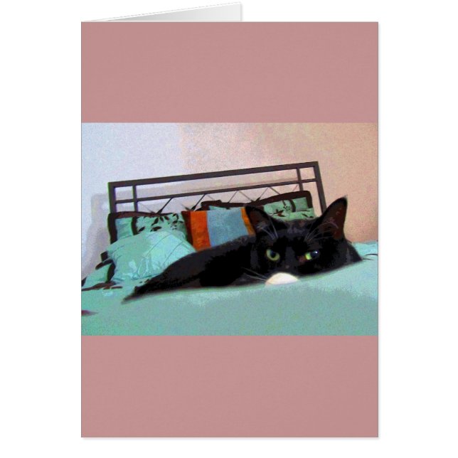 Lunchen Lucy Stripboek (Voorkant)