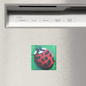 Lunchende dame. Ja. Ja. insectenmagneet Magneet (Insitu (Vaatwasser))