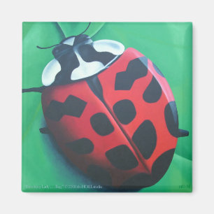 Lunching Lady. . . Bug Magnet