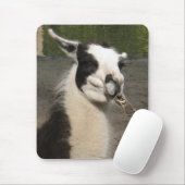 Lunching Llama Muismat (Met muis)