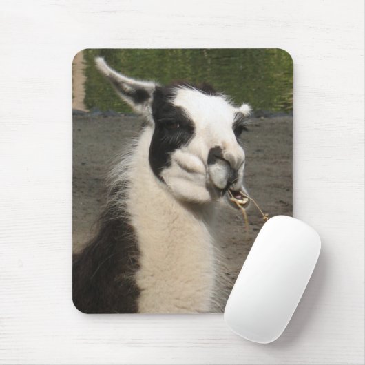 Lunching Llama Muismat (Met muis)