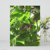 Lunchtime bij de boom (Staand voorkant)