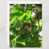 Lunchtime bij de boom (Voorkant / Achterkant)