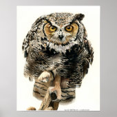 Lunchtime - Great Horned Owl Poster (Voorkant)