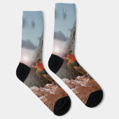 Lunchtime met een Gorilla, Sokken van bemanningsle (Rechts)