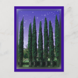 Lundblade Conifers - Sterrennacht, briefkaart