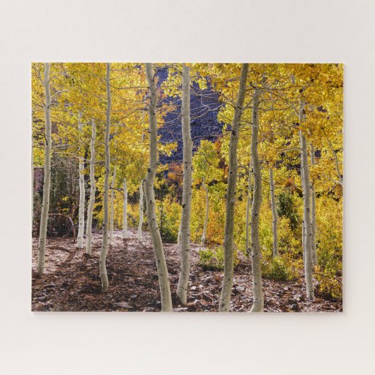 Lundy Canyon Aspens Legpuzzel (Horizontaal)